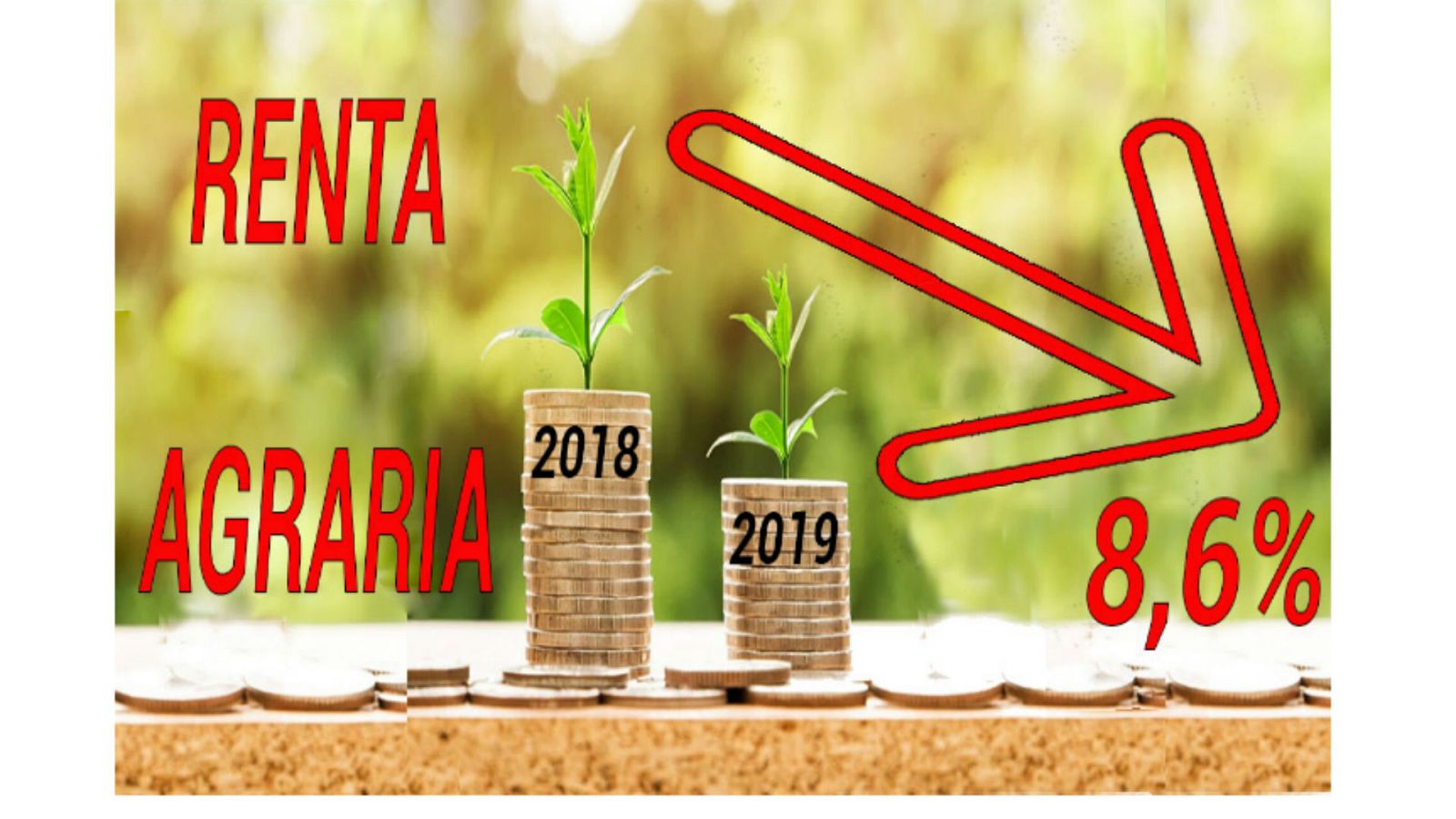 Agro 5 - El nuevo año llega sembrado de retos y nubarrones - Escuchar ahora