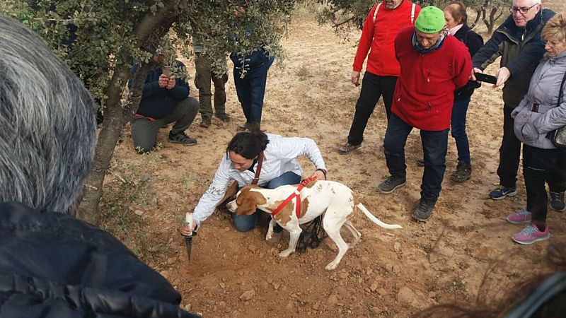 Escapadas - Temporada de trufas - 11/01/20 - Escuchar ahora