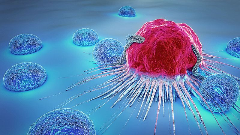 Las mañanas de RNE con Íñigo Alfonso - El equipo del oncólogo Joan Massagué abre la vía para tratar la metástasis - Escuchar ahora