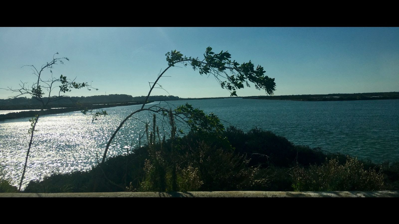 Músicas posibles - Expressions of love - 20/01/20 - escuchar ahora