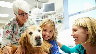 Reportaje emisoras - Cuenca - Perro de alerta m�dica para diab�ticos - 15/01/20 - Escuchar ahora