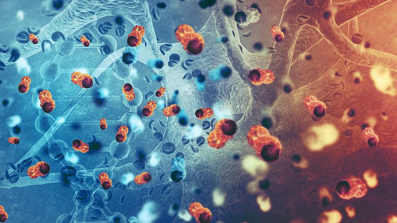 Las mañanas de RNE con Iñigo Alfonso -  Una disfunción en el cromosoma Y hace a los hombres más propensos al cáncer