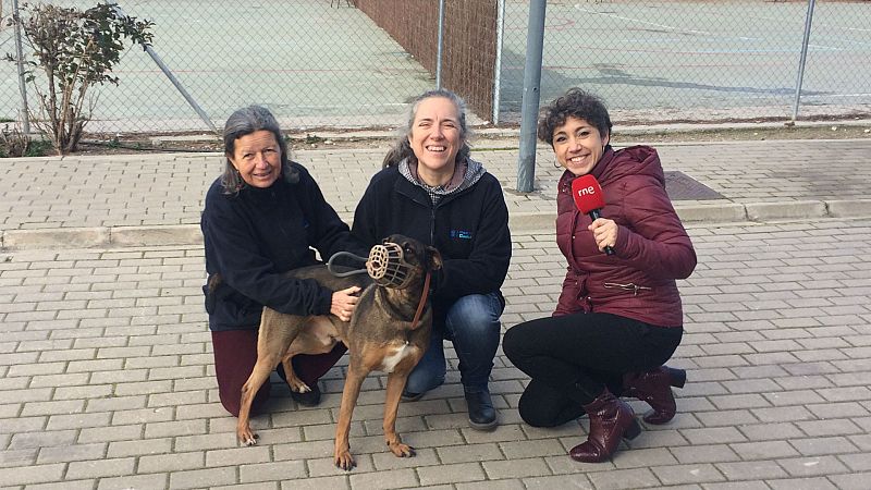 Todo Noticias - Mañana - Visitamos el Centro de Protección Animal de Madrid - Escuchar ahora