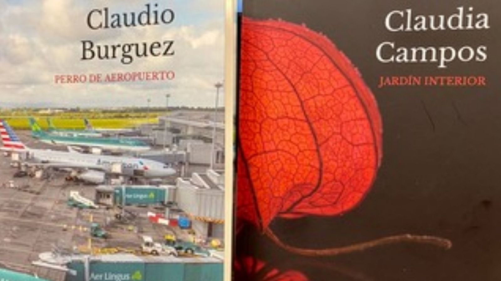 Venga la radio - Jardín interior - 19/01/20 - escuchar ahora