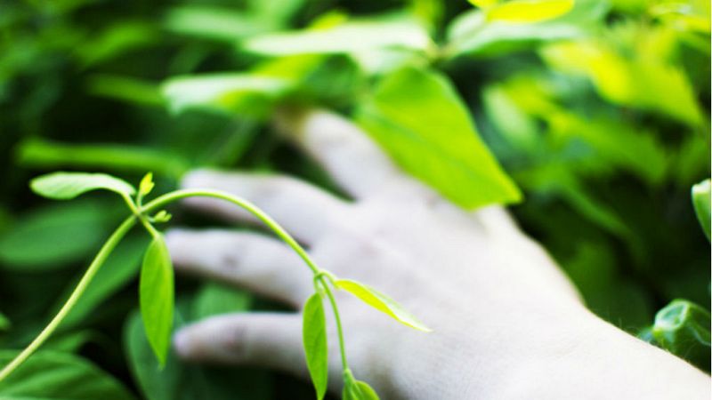 Grandes minorías - Ser autista: un círculo no encaja en un cuadrado - 21/01/20 - Escuchar ahora