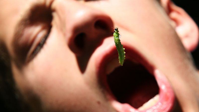 Solamente una vez - Comer insectos