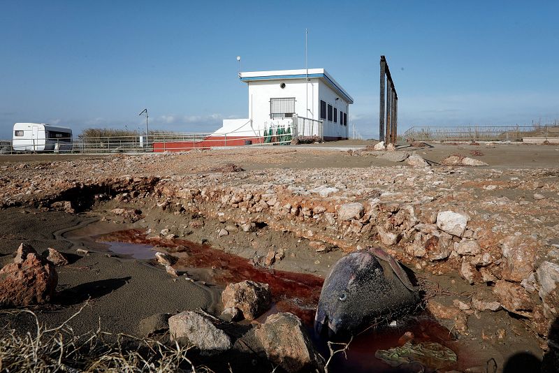 24 horas - Doce muertos y cuatro desaparecidos por la borrasca 'Gloria' - Escuchar ahora