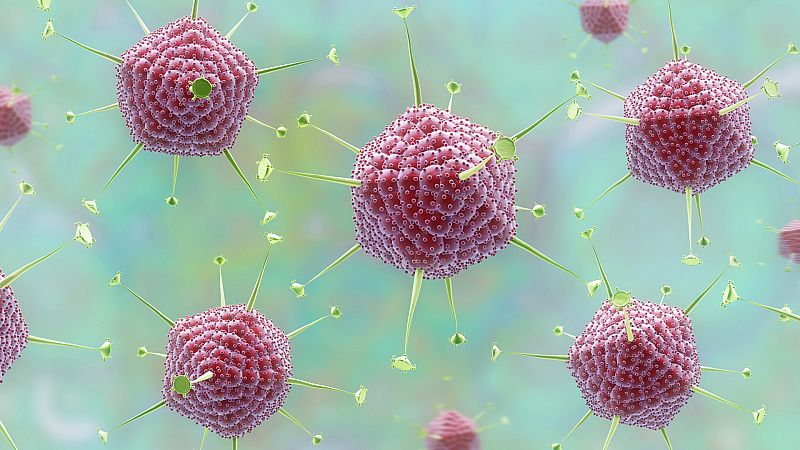 24 horas - El coronavirus no es una emergencia sanitaria internacional - Escuchar ahora