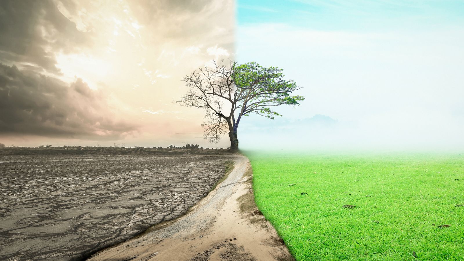 Contando cuentos en Radio 5 - Combustión y contaminación - 28/01/20 - Escuchar ahora