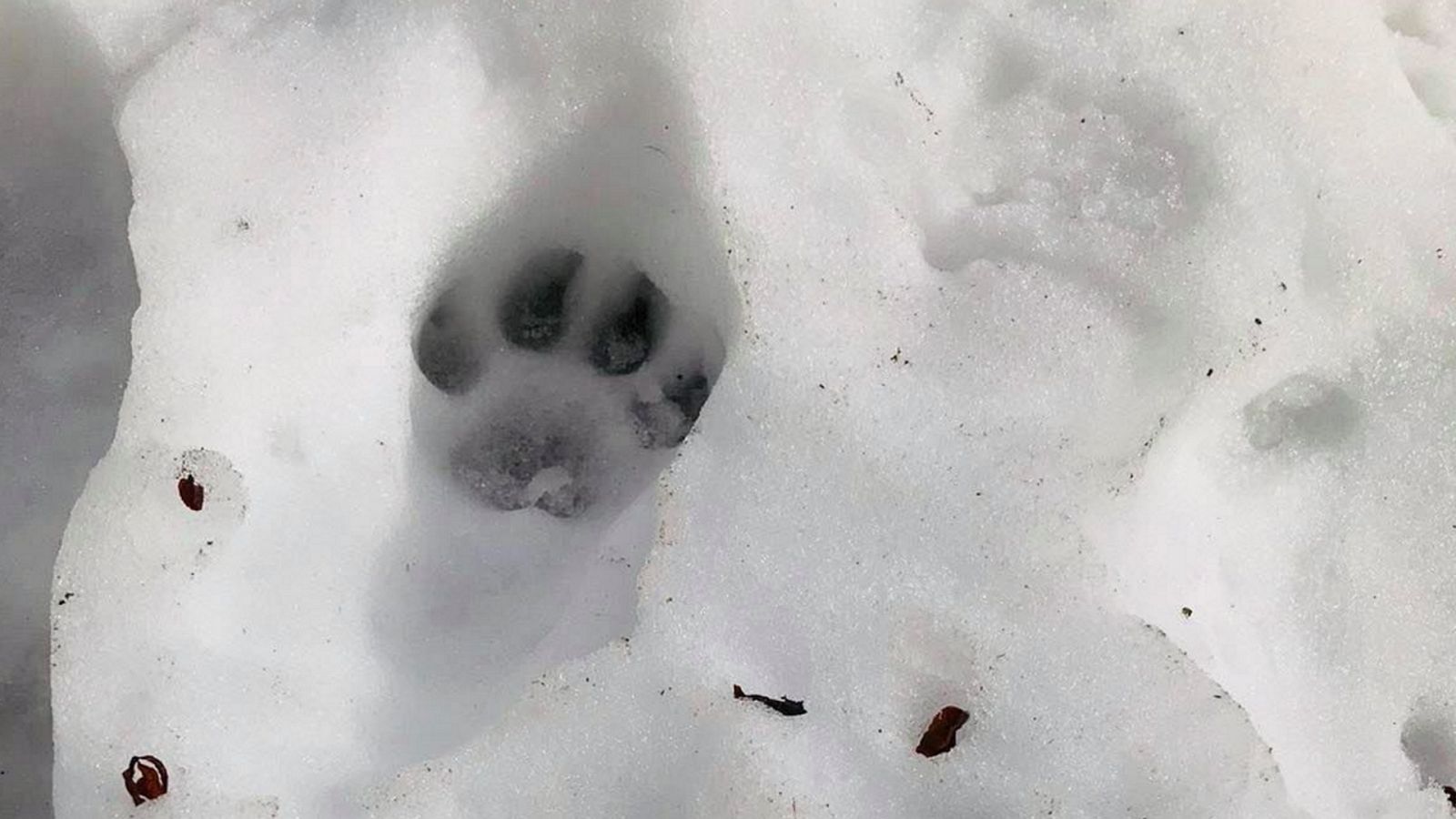 Venga la radio - Belleza ajena - 09/02/20 - escuchar ahora