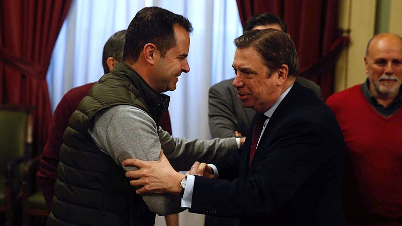 14 horas - Planas propone un programa específico para el sector de la oliva a partir de 2022 - Escuchar ahora