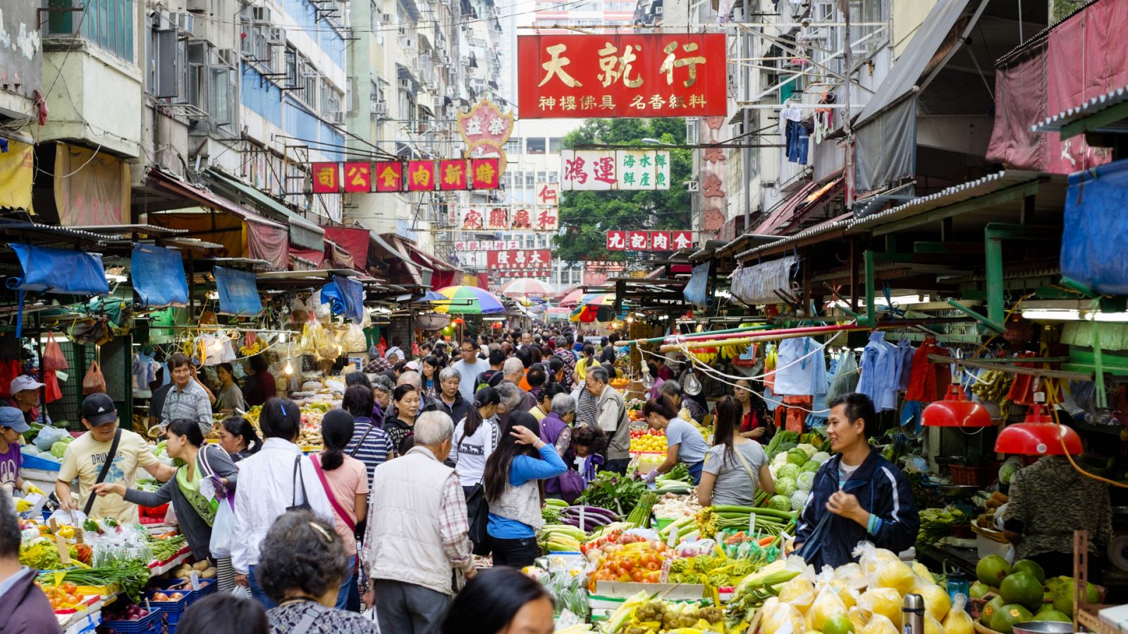 24 horas - En un lugar de la ciencia: COVID-19, el pangolín y el Himalaya - Escuchar ahora