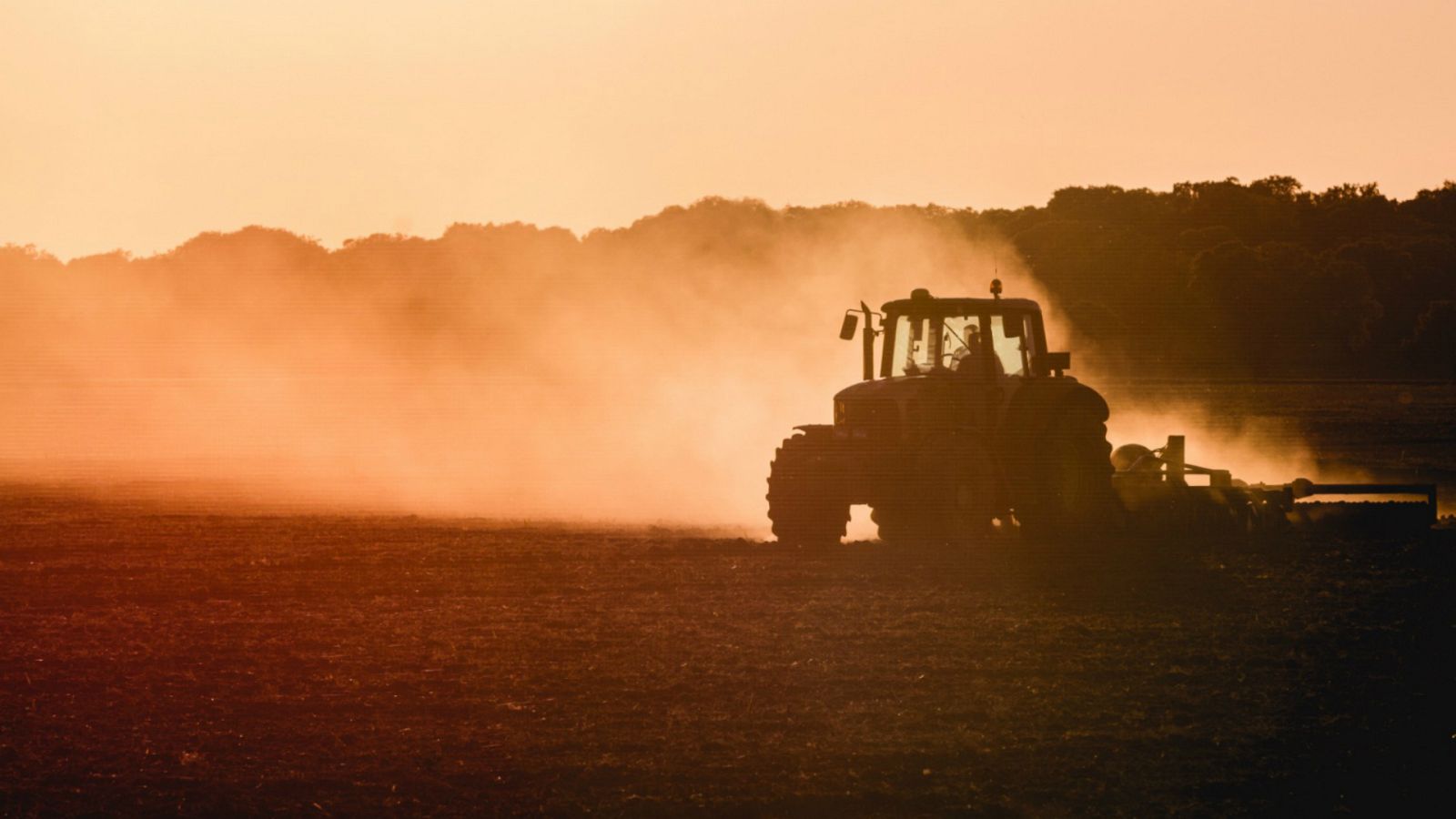 Las mañanas de RNE con Pepa Fernández - Verba Volant - Tractor - Escuchar ahora