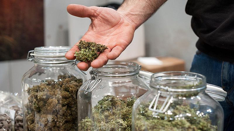 Las mañanas de RNE con Íñigo Alfonso - Marihuana hasta cinco veces más potente