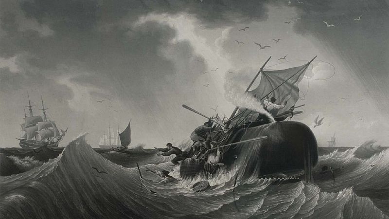 Contando cuentos - El arponero y la ballena - 22/02/20 - Escuchar ahora