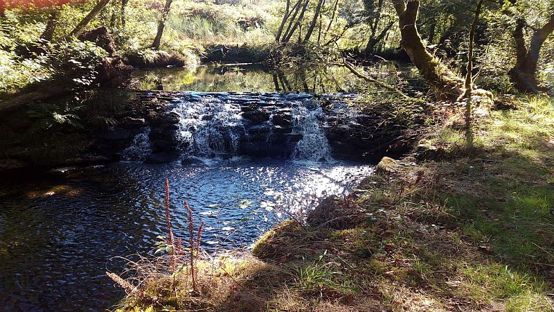 Caminantes - Por los ríos Vilacoba e San Xusto - 29/02/20 - Escuchar ahora