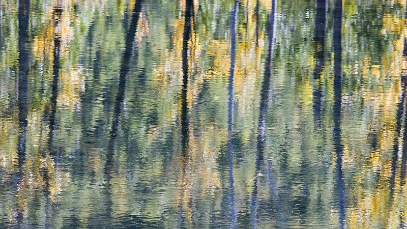 Canal Europa - Agenda cultural europea - 03/03/20 - Escuchar ahora