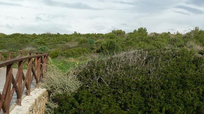 Escapadas - Ruta litoral de Palma I - 07/03/20 - Escuchar ahora