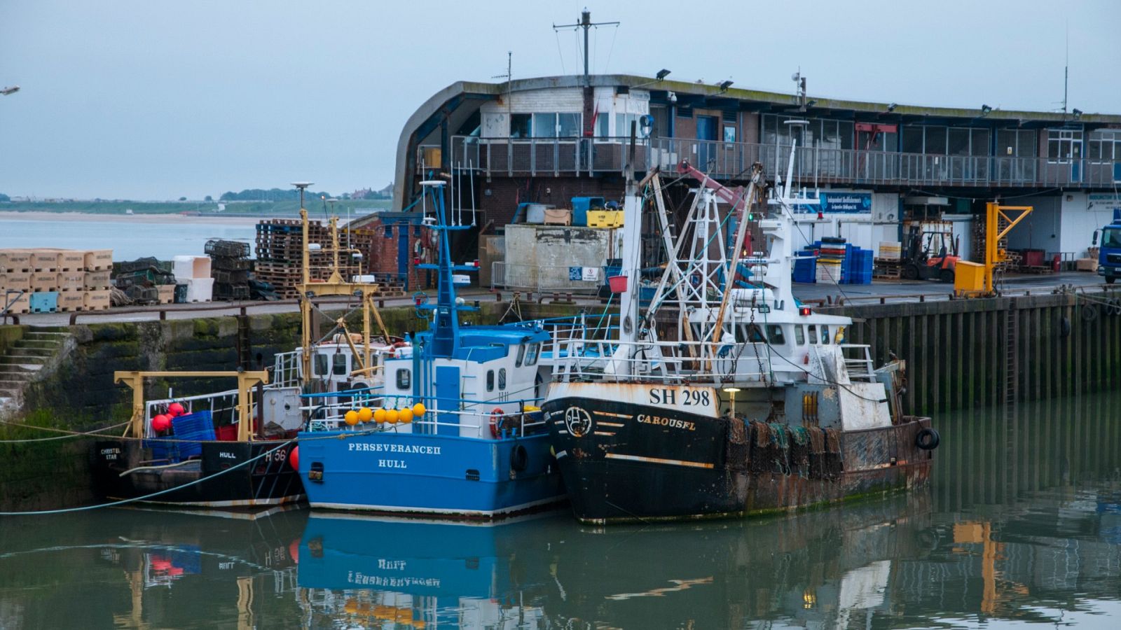 Agro 5 -  Post brexit y sector agroalimentario: Retos e incertidumbres - 07/03/20 - Escuchar ahora