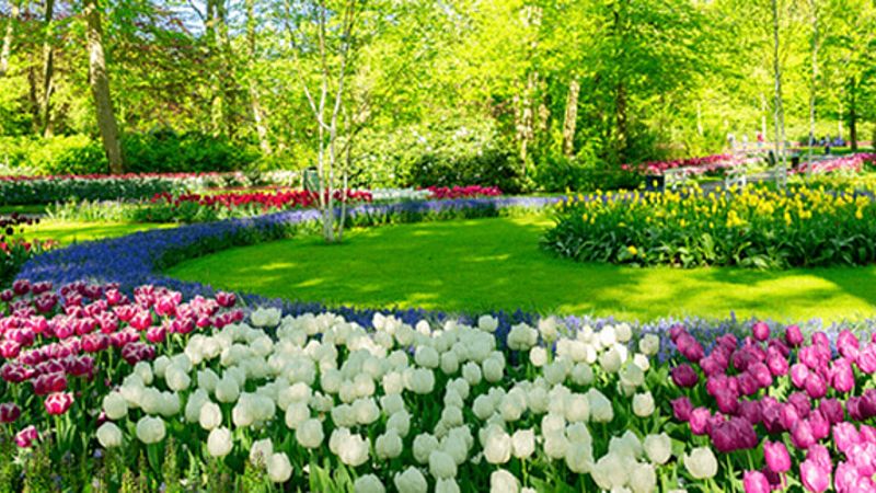 RAE informa - Rimas antiestamínicas - 21/03/20 - Escuchar ahora