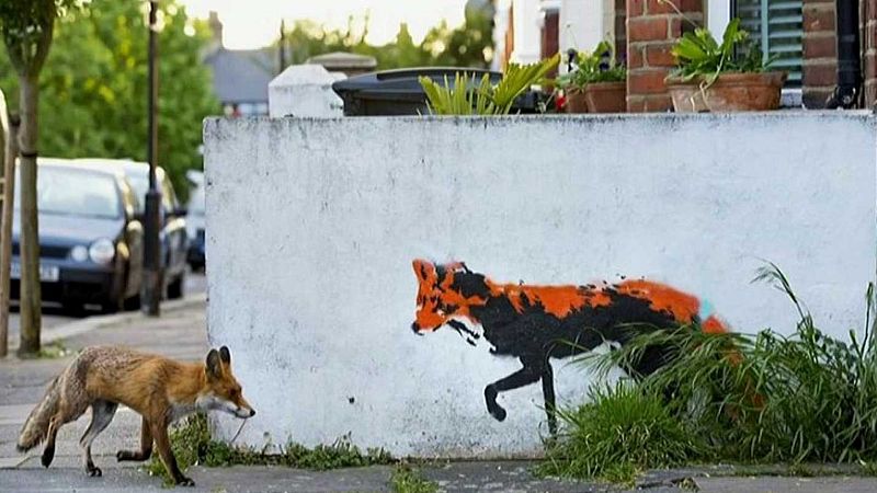 24 horas - Araujo: "La naturaleza es una pantalla protectora para los humanos" - Escuchar ahora