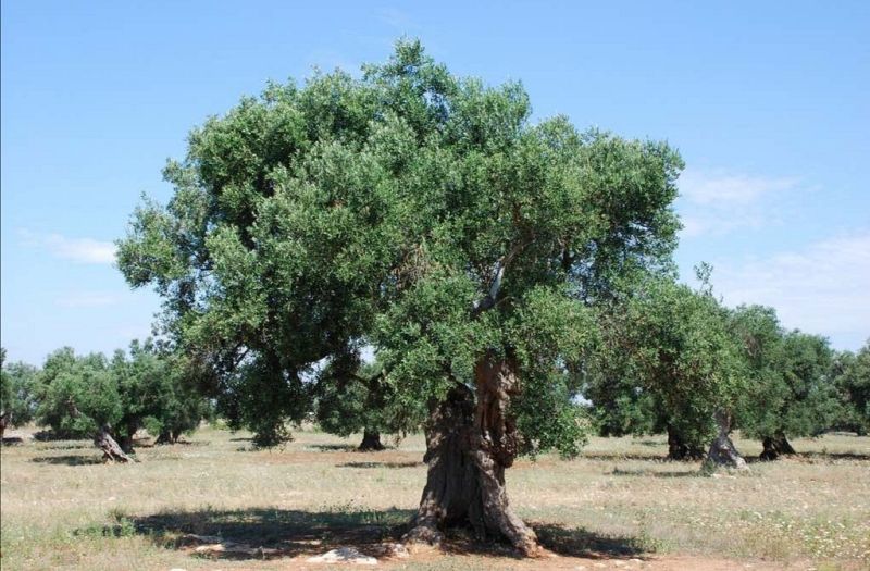 Informativo Teruel 29/04/20 - Escuchar ahora