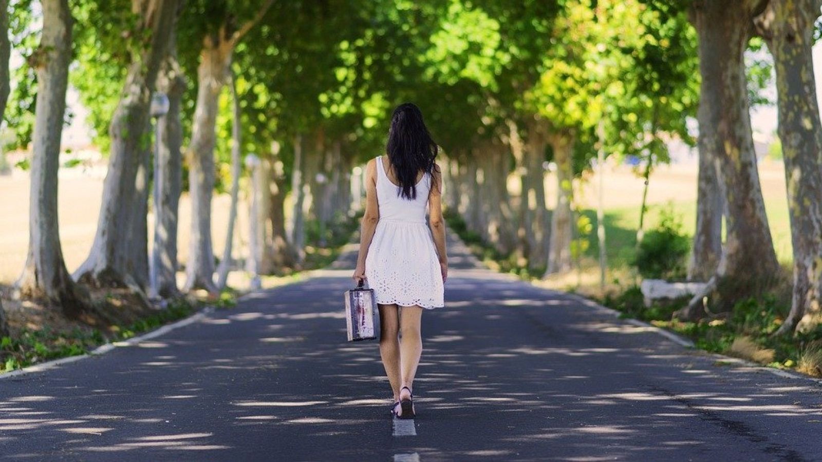 El gallo que no cesa - ¿Es posible desaparecer sin dejar rastro? - Escuchar ahora