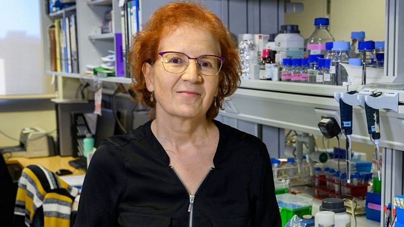 24 horas fin de semana - 20 horas - Del Val: "Es un poco pronto para el turismo en julio, el 95 por ciento somos vulnerables"