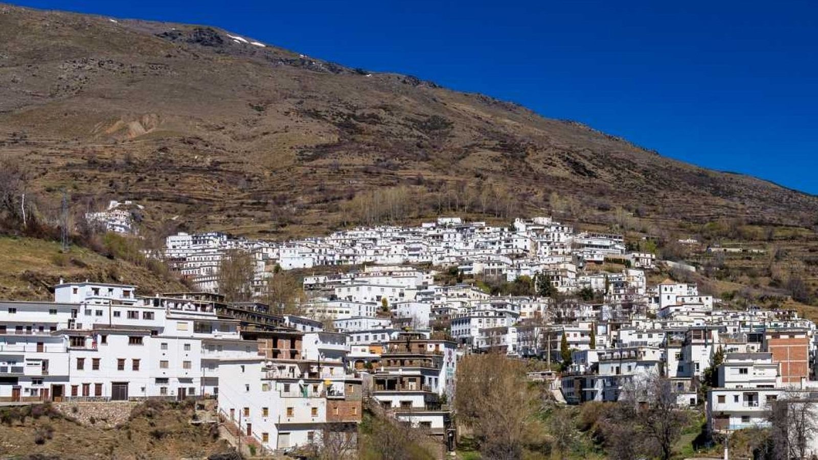 El gallo que no cesa - Tierra sin límites: La Alpujarra