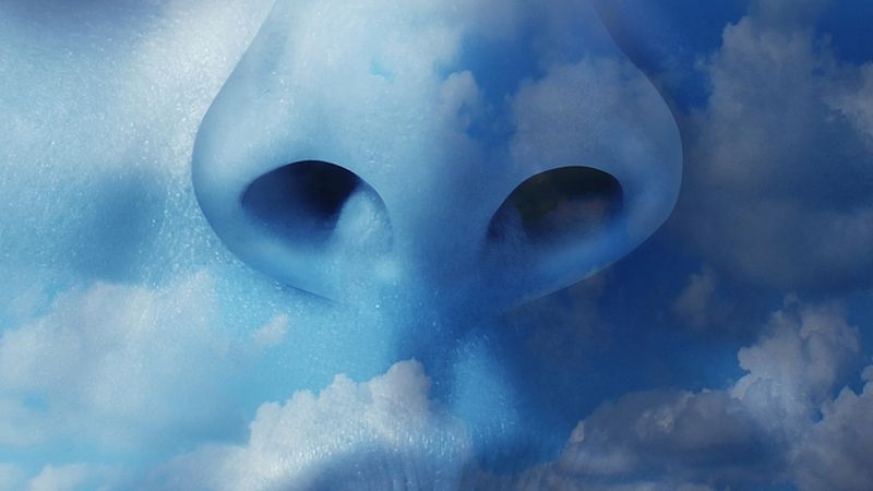 Historias optimistas - El aire limpio - 31/05/20 - Escuchar ahora