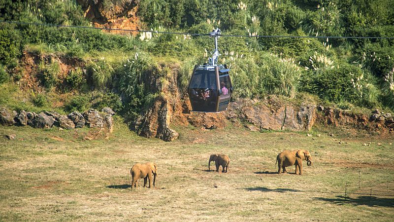 Las mañanas de RNE con Íñigo Alfonso - El parque de Cabárceno cumple 30 años