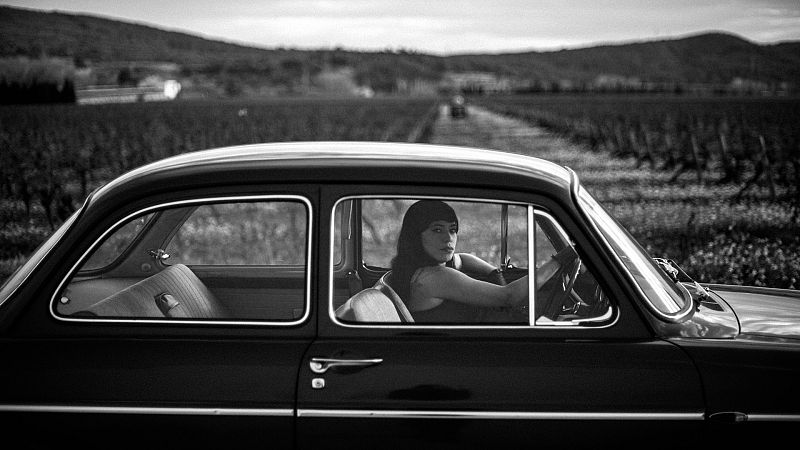 Flamingo Tours - La matanza de taxis (Siniestro Total)