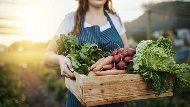 Mundo rural - Nuevas ayudas para el sector agroalimentario - 24/06/20 - Escuchar ahora
