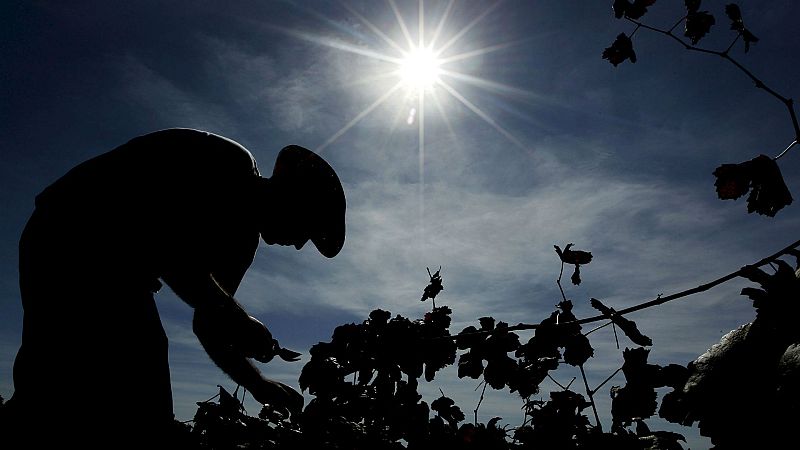 14 horas - Más de 150 temporeros duermen en la calle en Lleida