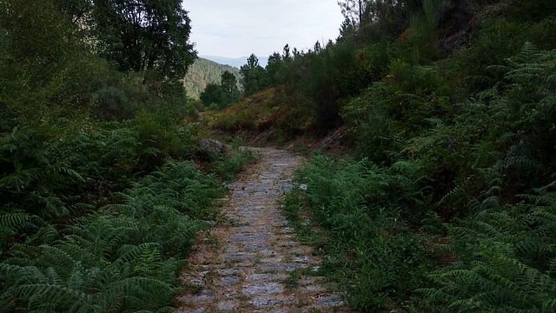 Escapadas - Recorriendo la Via Nova - segunda parte - 28/06/20 - Escuchar ahora