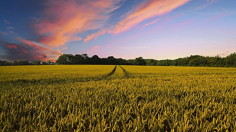Solicitudes de derechos de la Reserva Nacional de Pago Básico - Escuchar ahora