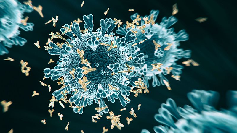 24 horas - En algún lugar de la ciencia - Los infectados de coronavirus sin anticuerpos  - Escuchar ahora