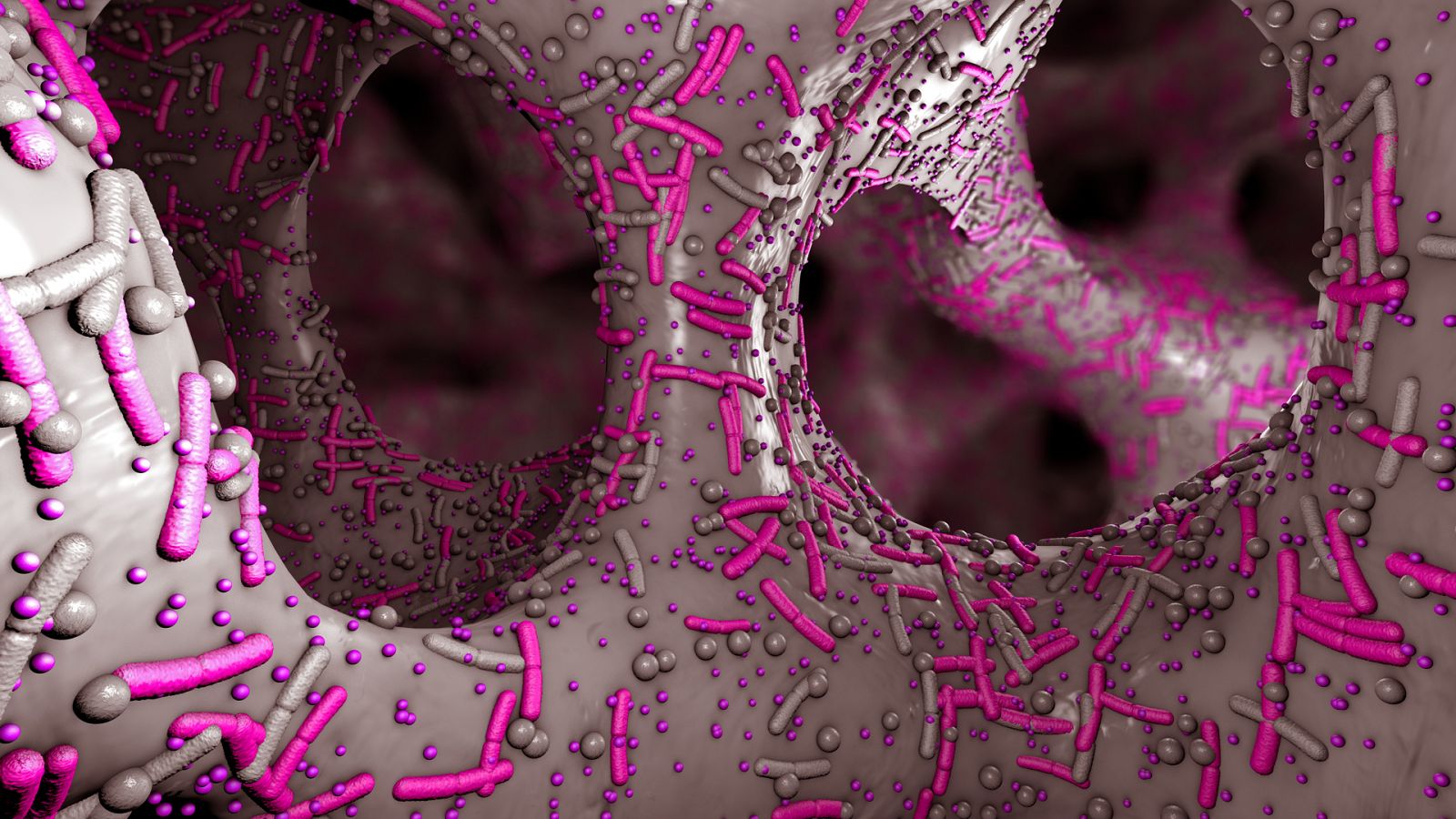 Marca España - Las bacterias que regulan el pensamiento - 14/07/20 - escuchar ahora