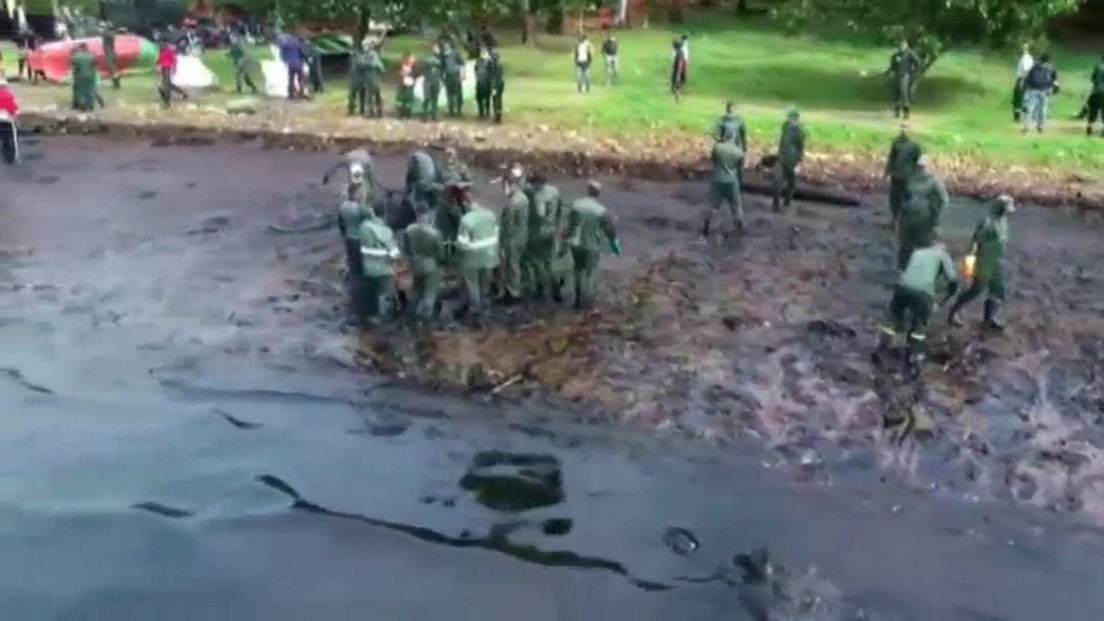 14 horas fin de semana - Varios ecosistemas marítimos y terrestres amenazados en Mauricio por el vertido - Escuchar ahora