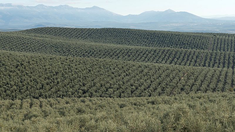 24 horas - Tregua comercial entre Europa y Estados Unidos - Escuchar ahora