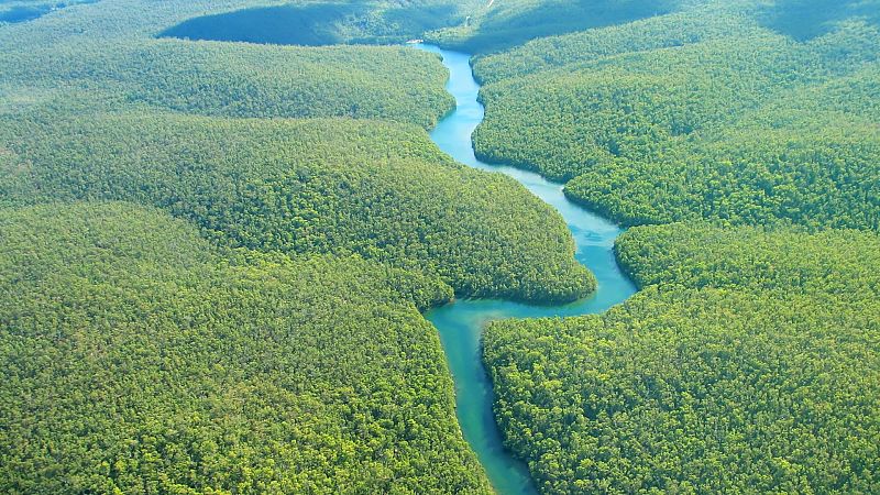 Las cuñas de Rne - 'Memoria de delfín' estrena 6ª temporada desde el pulmón del planeta - escuchar ahora