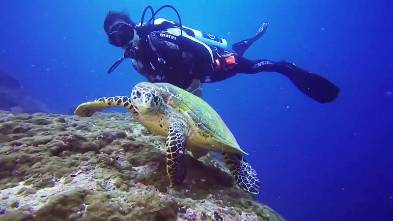 Por tres razones - Un viaje especial en tiempos de coronavirus