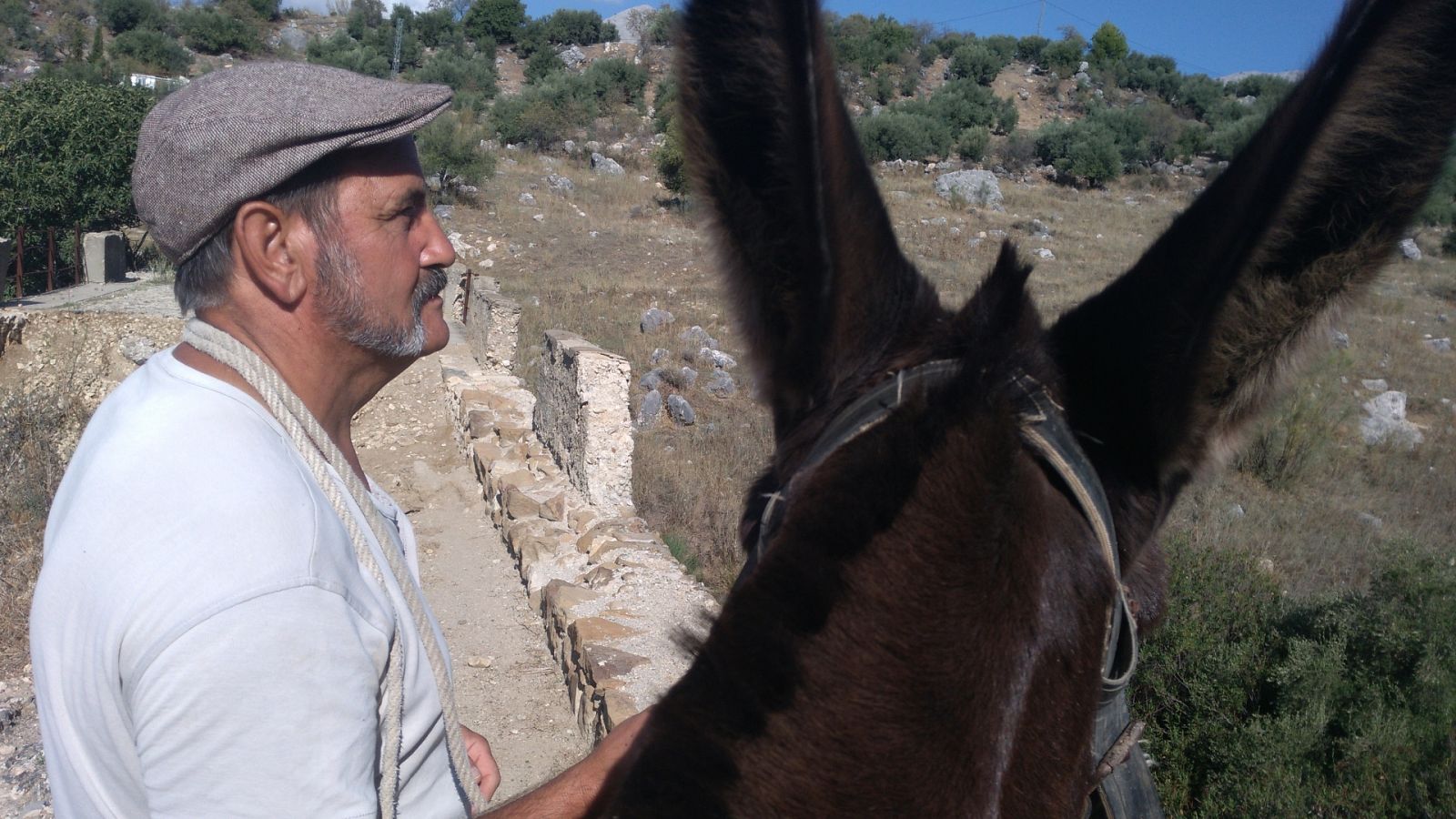 Esto me cuentan - 07/09/20 - escuchar ahora