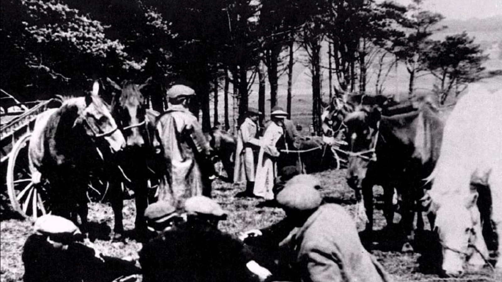 El joven que no tenía qué contar - Esto me cuentan | Escuchar