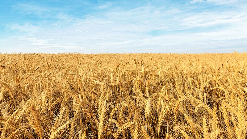 Mundo rural -  Últimas noticias de la PAC - 14/09/20