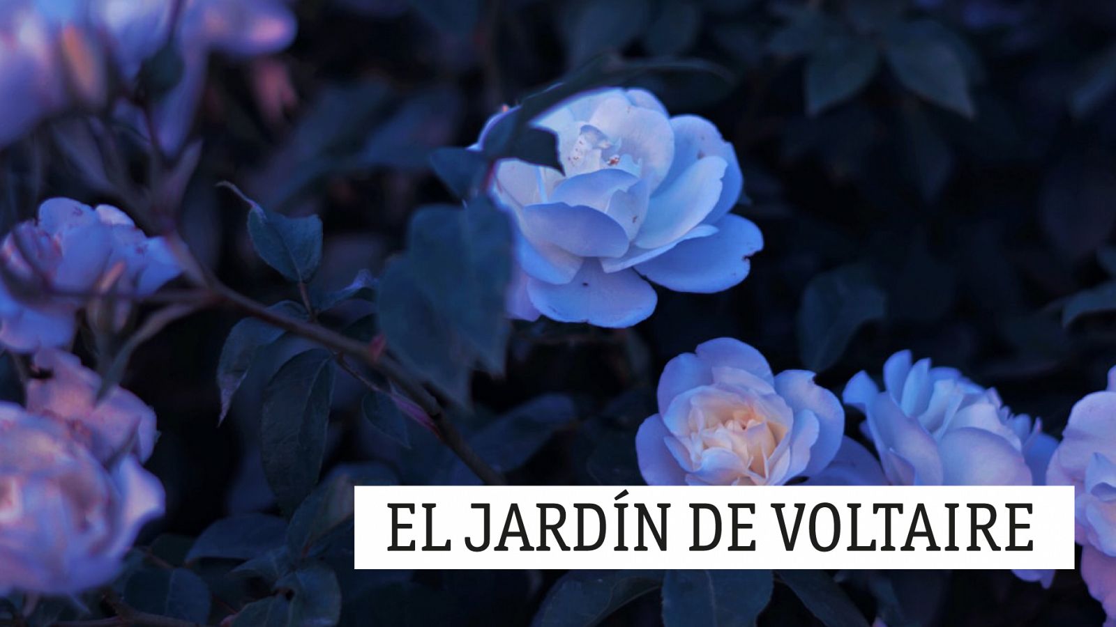 El jardín de Voltaire - Vuelta a los clásicos - 15/09/20 - escuchar ahora