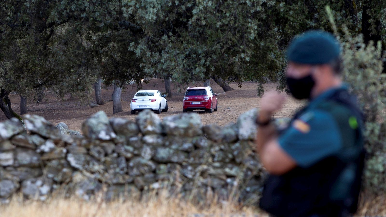 España a las 8 Fin de Semana - Encuentran restos óseos en la finca de Monesterio donde buscan el cuerpo de Manuela Chavero - Escuchar ahora