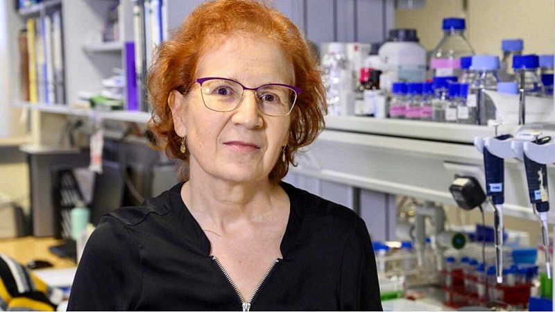 24 horas Fin de Semana - 20 horas - Del Val afirma que los confinamientos "no tienen sentido" si no se aumenta el control sobre los positivos - Escuchar ahora