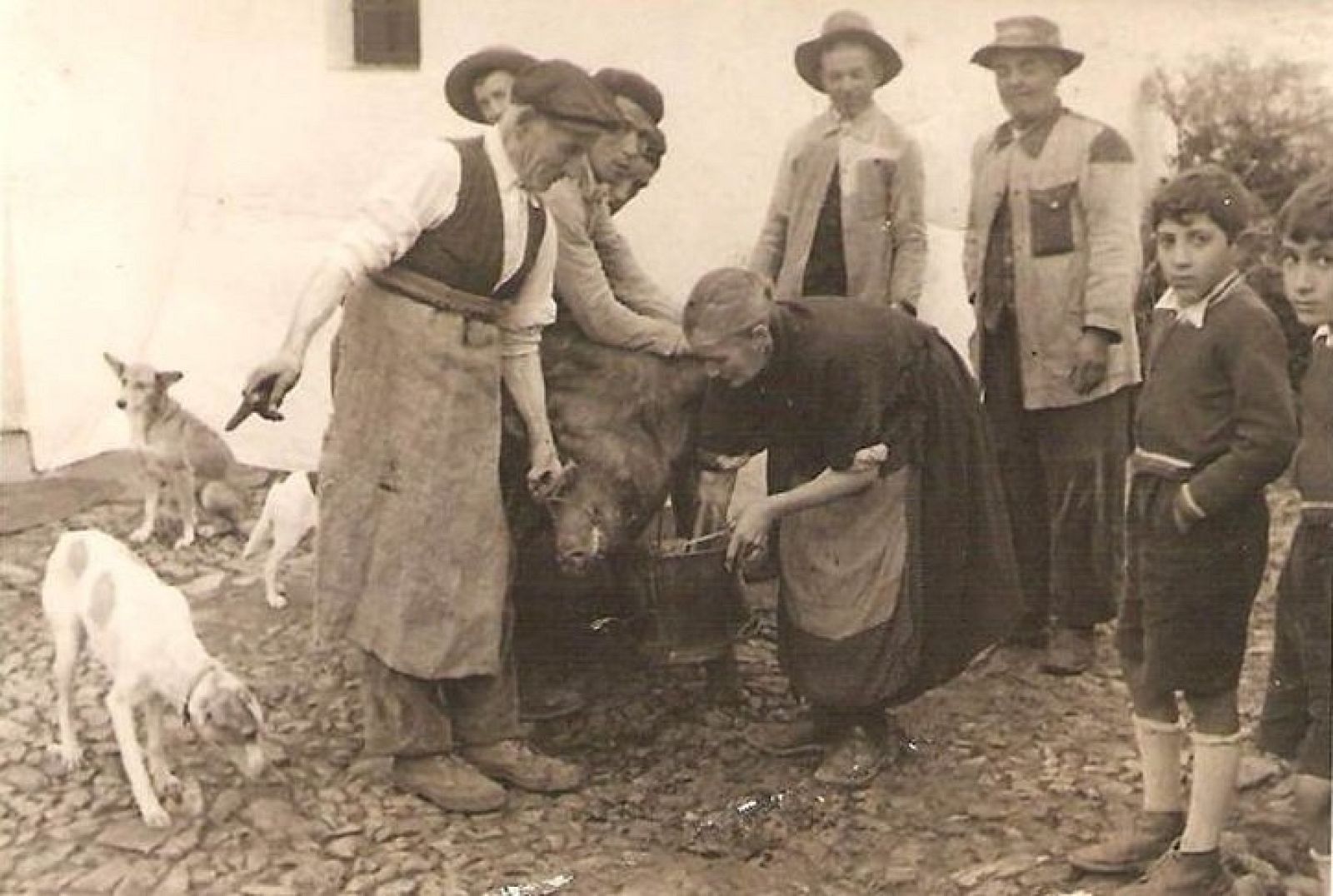 Esto me cuentan - El tonto del tocino - Escuchar ahora