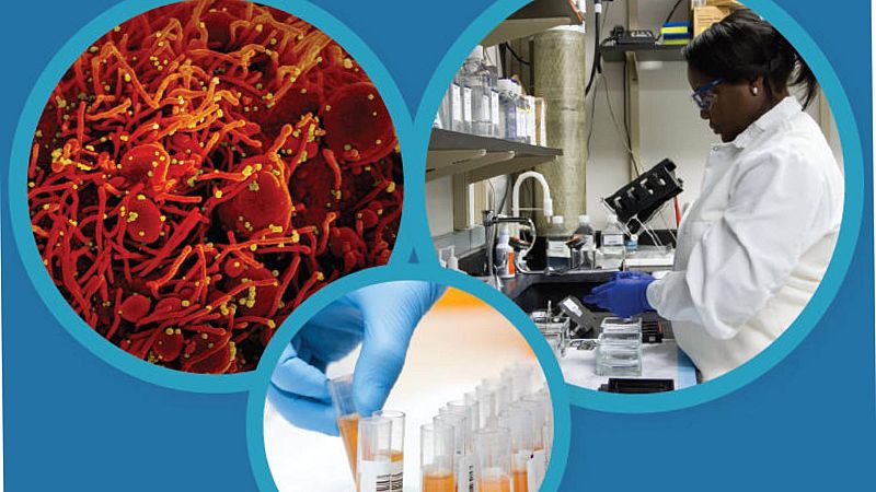 Alianza 2030 - Covid-19 en la investigación contra el cáncer - 11/10/20 - Escuchar ahora